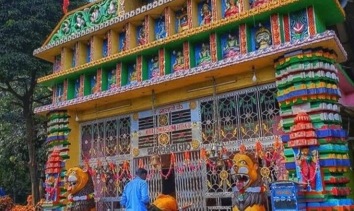 olive-ridley-hatchlings-make-their-way-to-sea