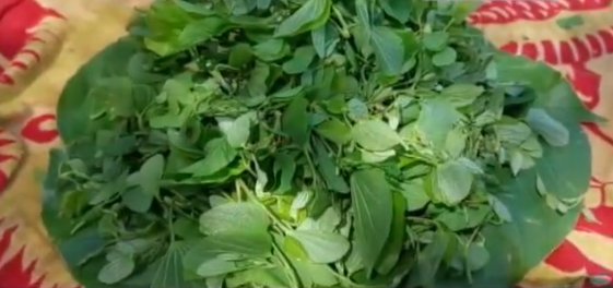 /koliari-vegetables-of-keonjhar