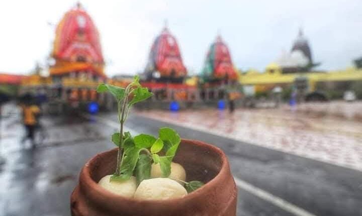 Niladri Bije: Grand Finale of Ratha Jatra and Sweet Tradition of Rasagola